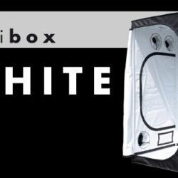 Hortibox White